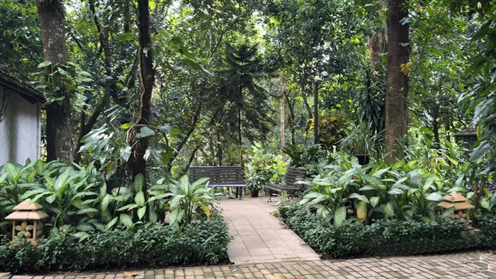 DuSai Resort & Spa Green View