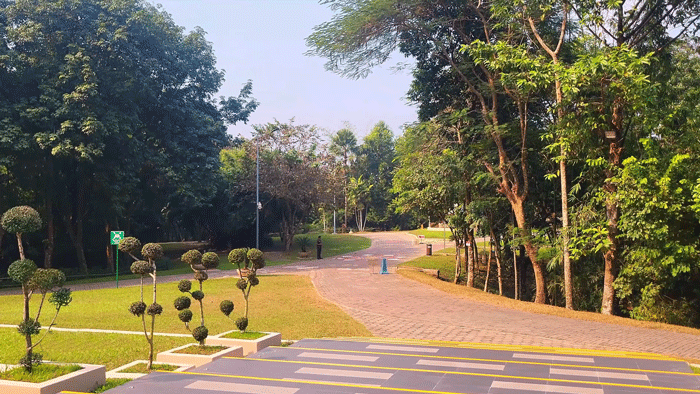 The Palace Luxury Resort