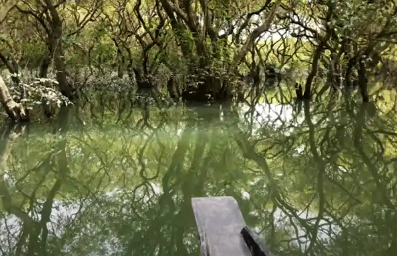 Visit Sylhet Tourist Spots