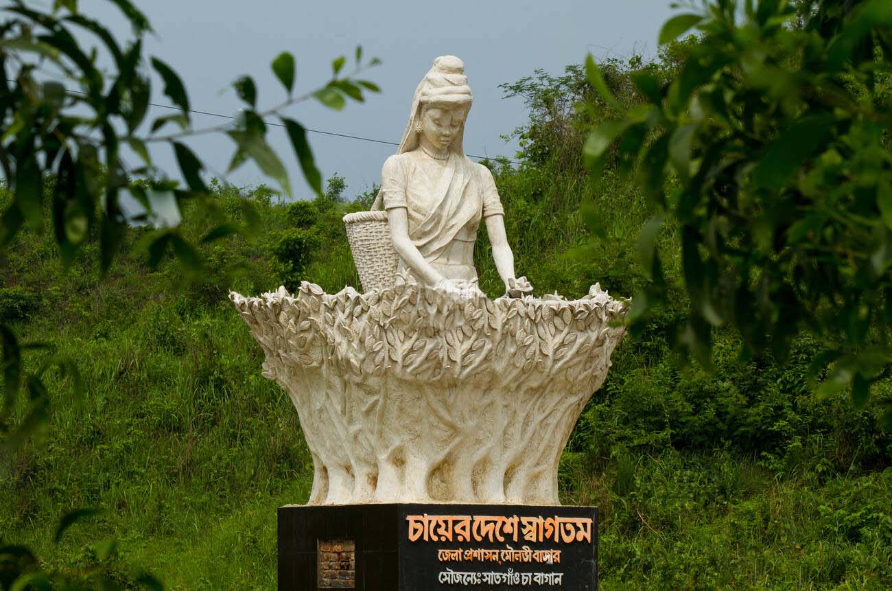 visit Sreemangal with Sylhet Tourist Guide